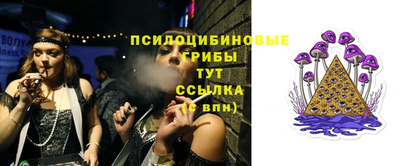 соль ск Аркадак