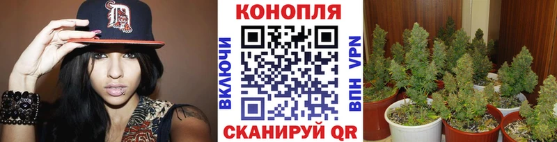 МАРИХУАНА планчик  omg   Могоча 